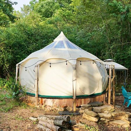 The Pisces-A Stargazing, Luxury Glamping Tent Rogersville Ngoại thất bức ảnh