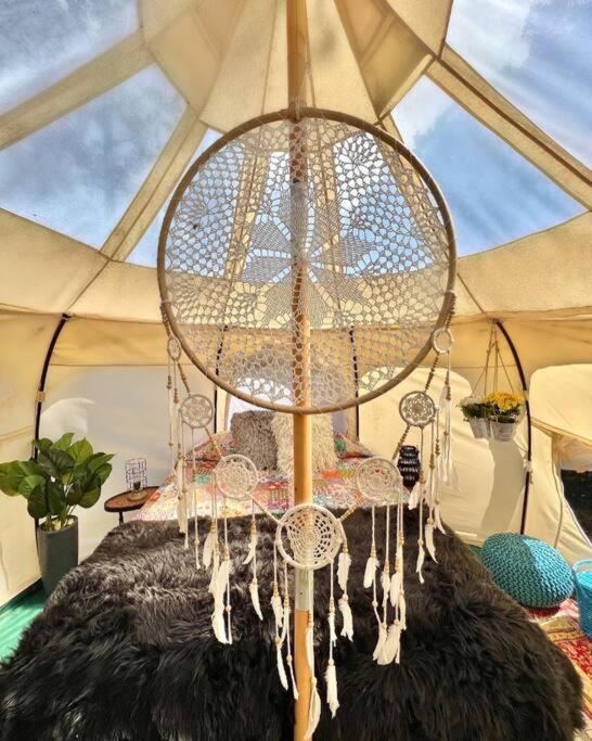 The Pisces-A Stargazing, Luxury Glamping Tent Rogersville Ngoại thất bức ảnh