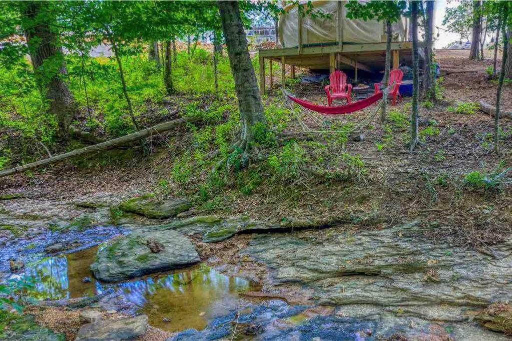 The Pisces-A Stargazing, Luxury Glamping Tent Rogersville Ngoại thất bức ảnh