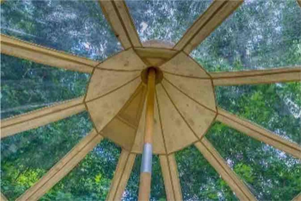 The Pisces-A Stargazing, Luxury Glamping Tent Rogersville Ngoại thất bức ảnh